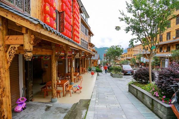 新帅会是谁?塞尔维亚媒体:扬科维奇已被中国足协正式解雇